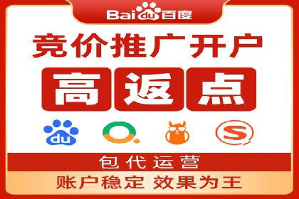 行业精英的SEM竞价经验与案例分享